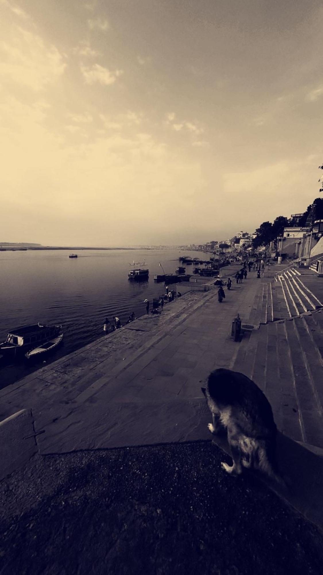 Tandon Lodge On The Ganga Ghat Homestay فاراناسي المظهر الخارجي الصورة